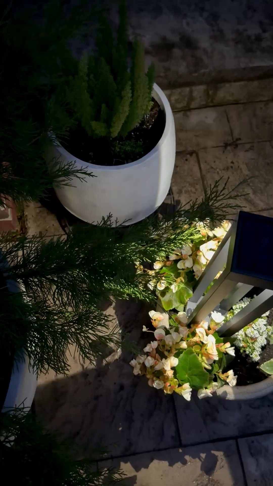 Patio Must Have. No cords and no batteries. This solar lantern includes a stake so it can be placed in a pot. Comes in a set of 2.

#LTKSeasonal #LTKHome #LTKmomlife