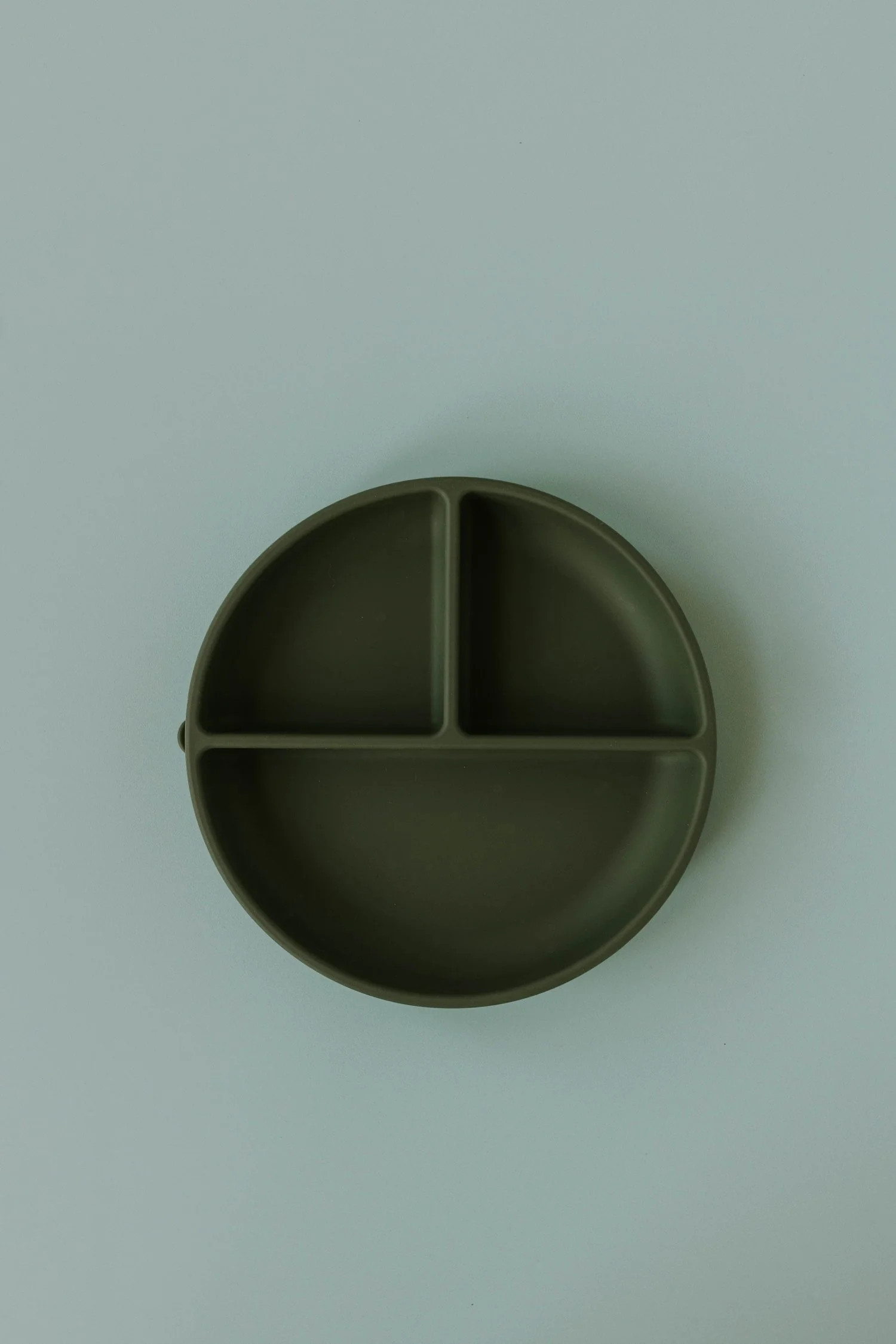 Silicone Divider Plate Evergreen | Evri LLC