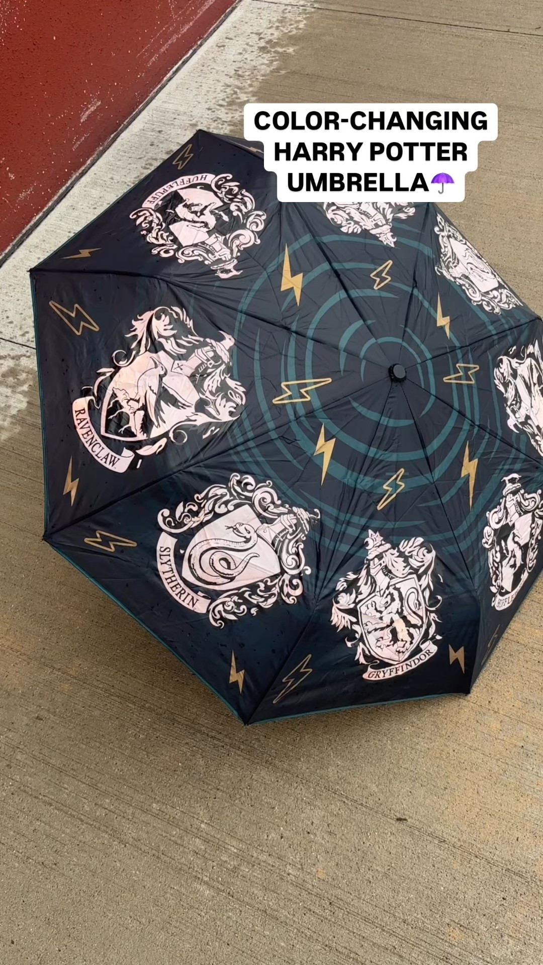 Fun harry potter color change umbrella! This umbrella has all 4 Hogwarts houses and when it rains, the house crests turn color! This is a fun umbrella for a Harry Potter lover or to use in the Harry Potter Worlds at Universal Orlando!

This umbrella is travel friendly and medium size 

#LTKFamily #LTKTravel #LTKFindsUnder50