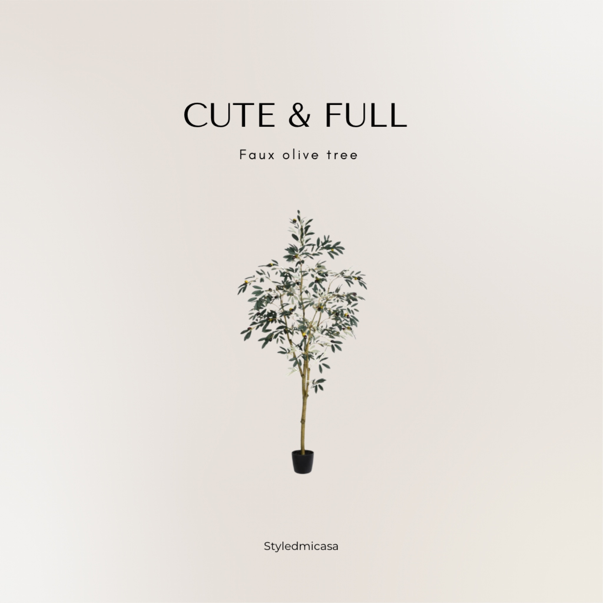 Full and fluffy olive tree 

#LTKFind #LTKhome