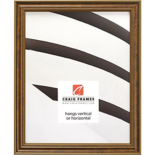 Craig Frames 4x10 Ornate Bronze Picture Frame for Photos, Solid Wood | Amazon (US)