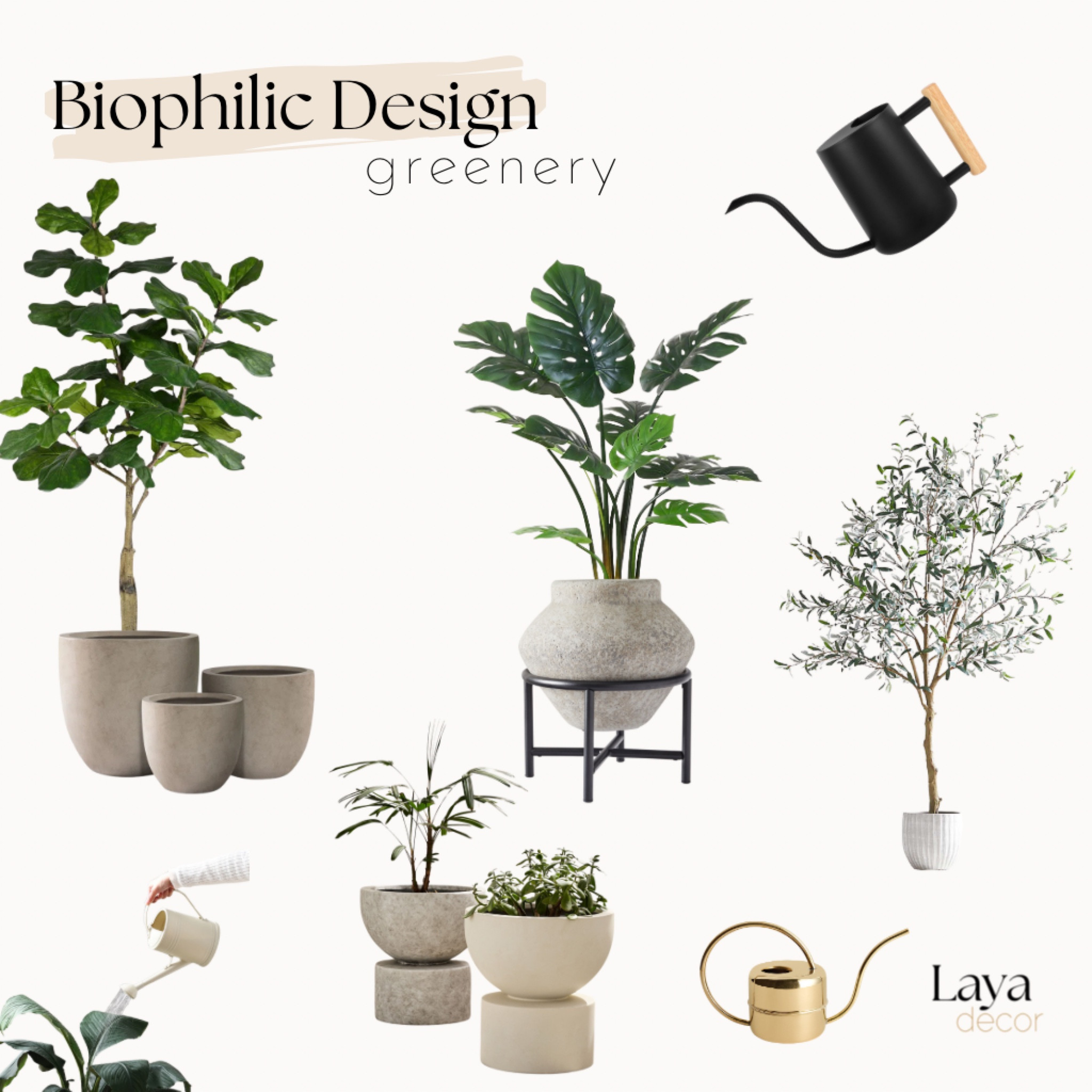 Biophilic Design

Part 1 : Add Greenery

Plants are the cornerstone of biophilic design. They purify the air, add life to a space, and connect us with nature. From large potted plants like fiddle leaf figs and rubber plants to smaller succulents and hanging ivy, the options are endless.


#LTKHome