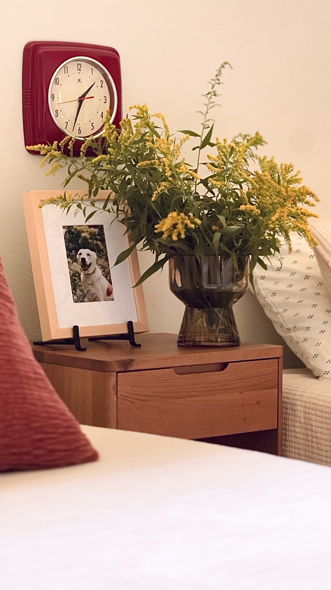 Added this chubby amber vase to the bedside table, filled with fresh cut foliage from the yard! Vase, frame, wall clock and bedside table are all stylish, high quality pieces from AllModern. #allmodernpartner #modernmadesimple @allmodern

#LTKHome #LTKSeasonal