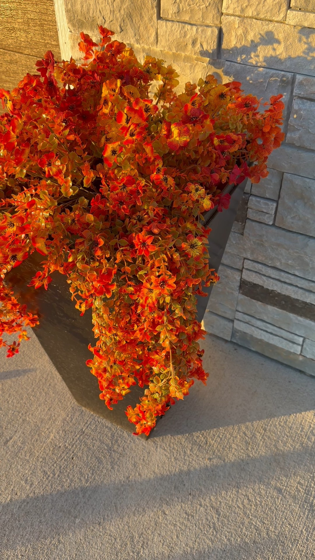 Fake flowers for the win! These are so pretty for fall! 