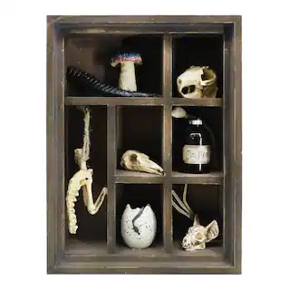 12.5" Cabinet of Oddities Tabletop Accent by Ashland® | Michaels | Michaels Stores