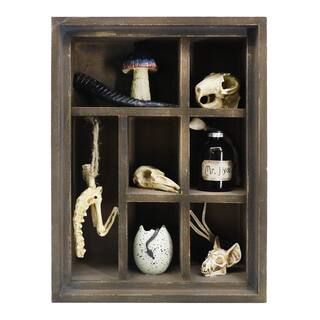 12.5" Cabinet of Oddities Tabletop Accent by Ashland® | Michaels Stores