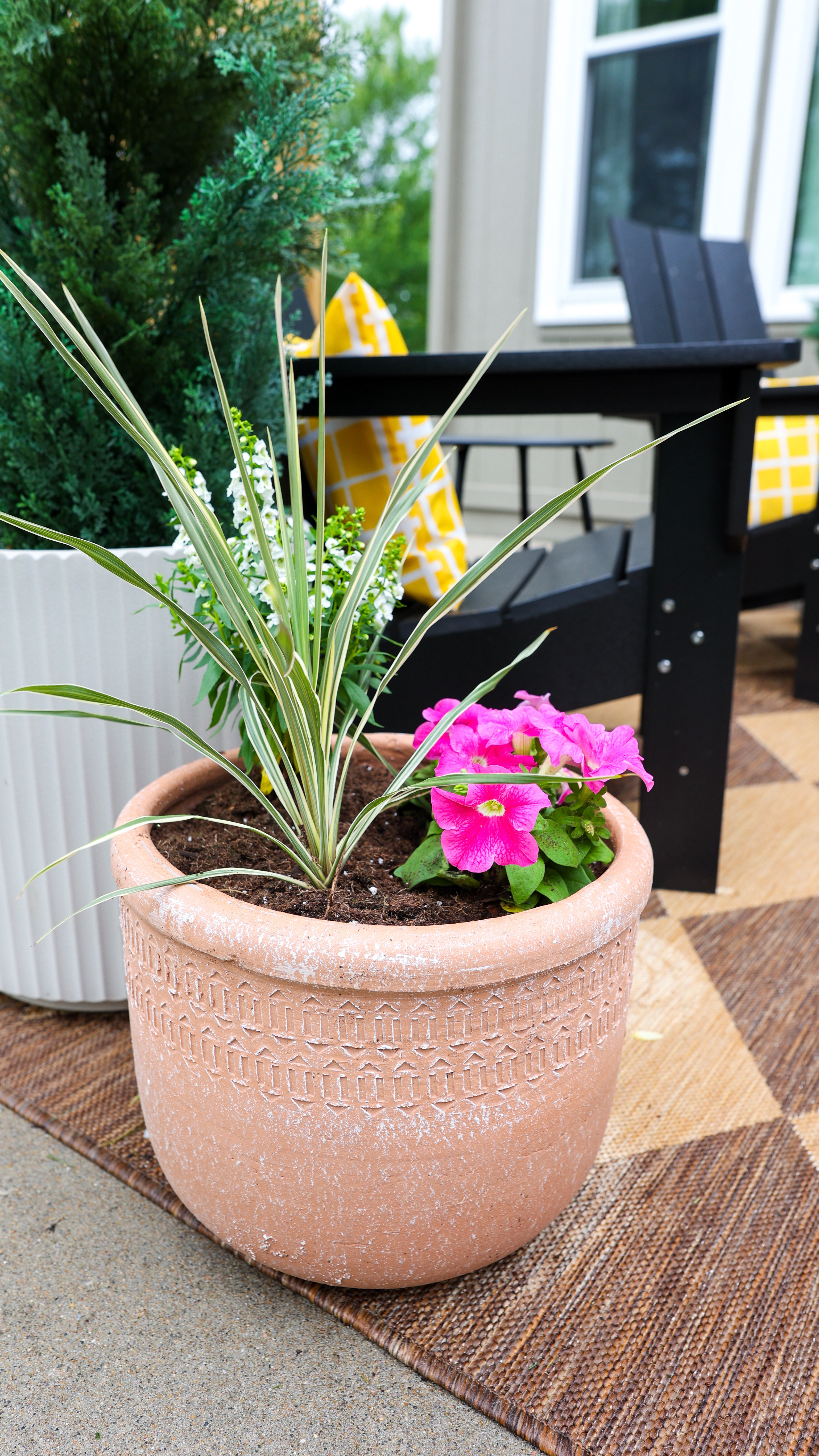 Save money with this easy planter hack! I use a pool noodle as filler to cut down on potting soil and it provides drainage! 🙌

#LTKSummerEdit #LTKU #LTKHome