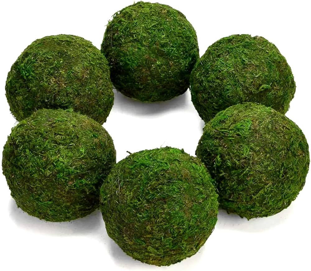 Farmoo Moss Balls Preserved All Natural, 3.5"-Set of 6 (Natural Green) | Amazon (US)
