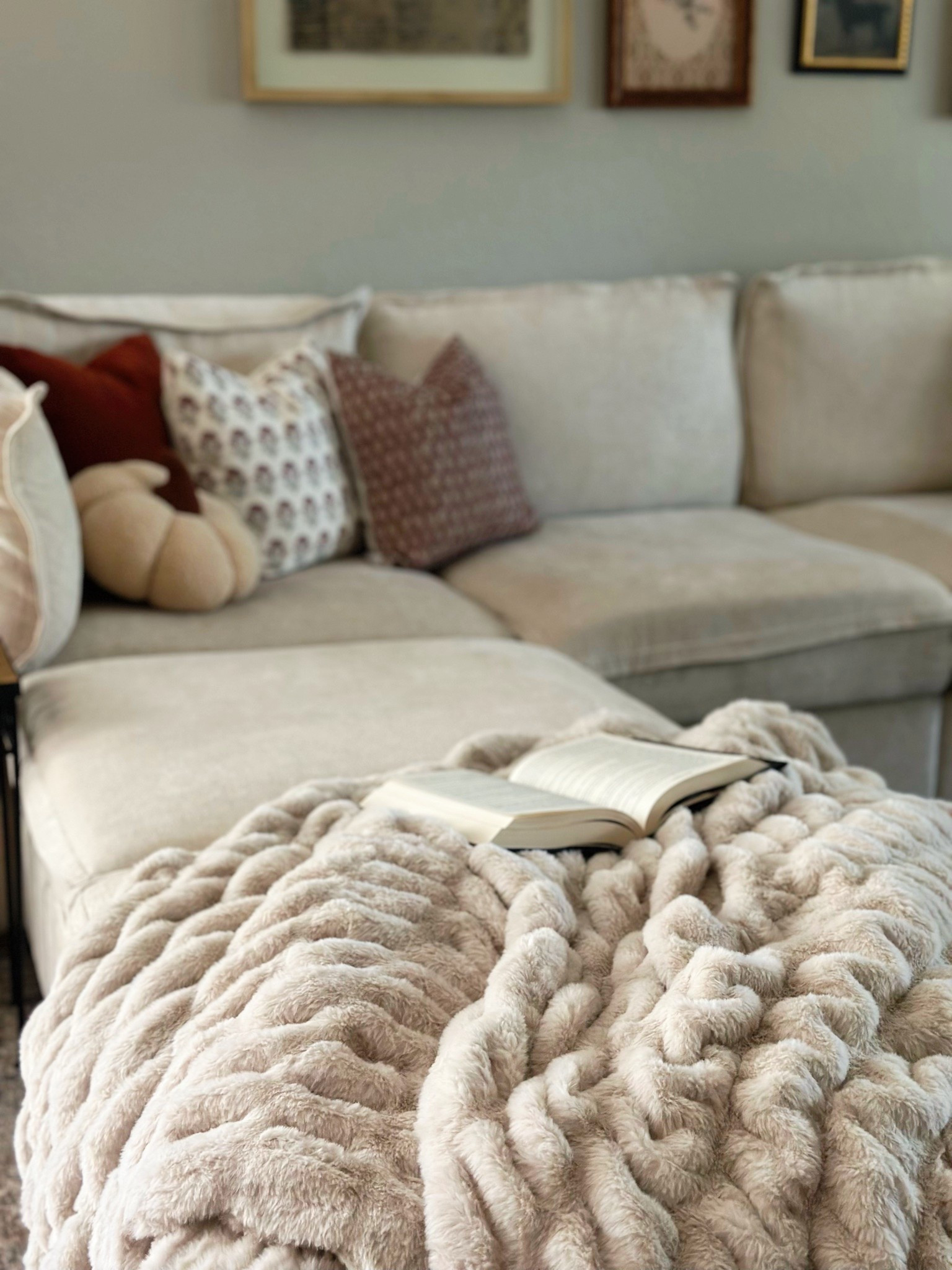 Coziest double sided fur blanket! So big too! 🤎

#LTKSeasonal #LTKHome #LTKSaleAlert