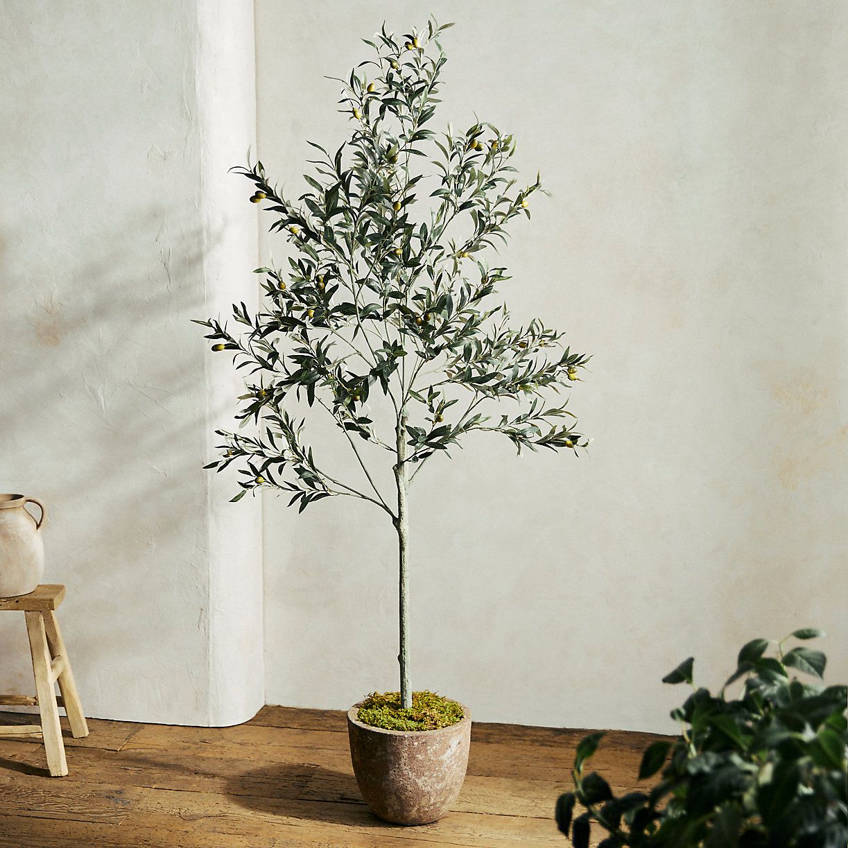 Faux Olive Tree, 6' | Terrain
