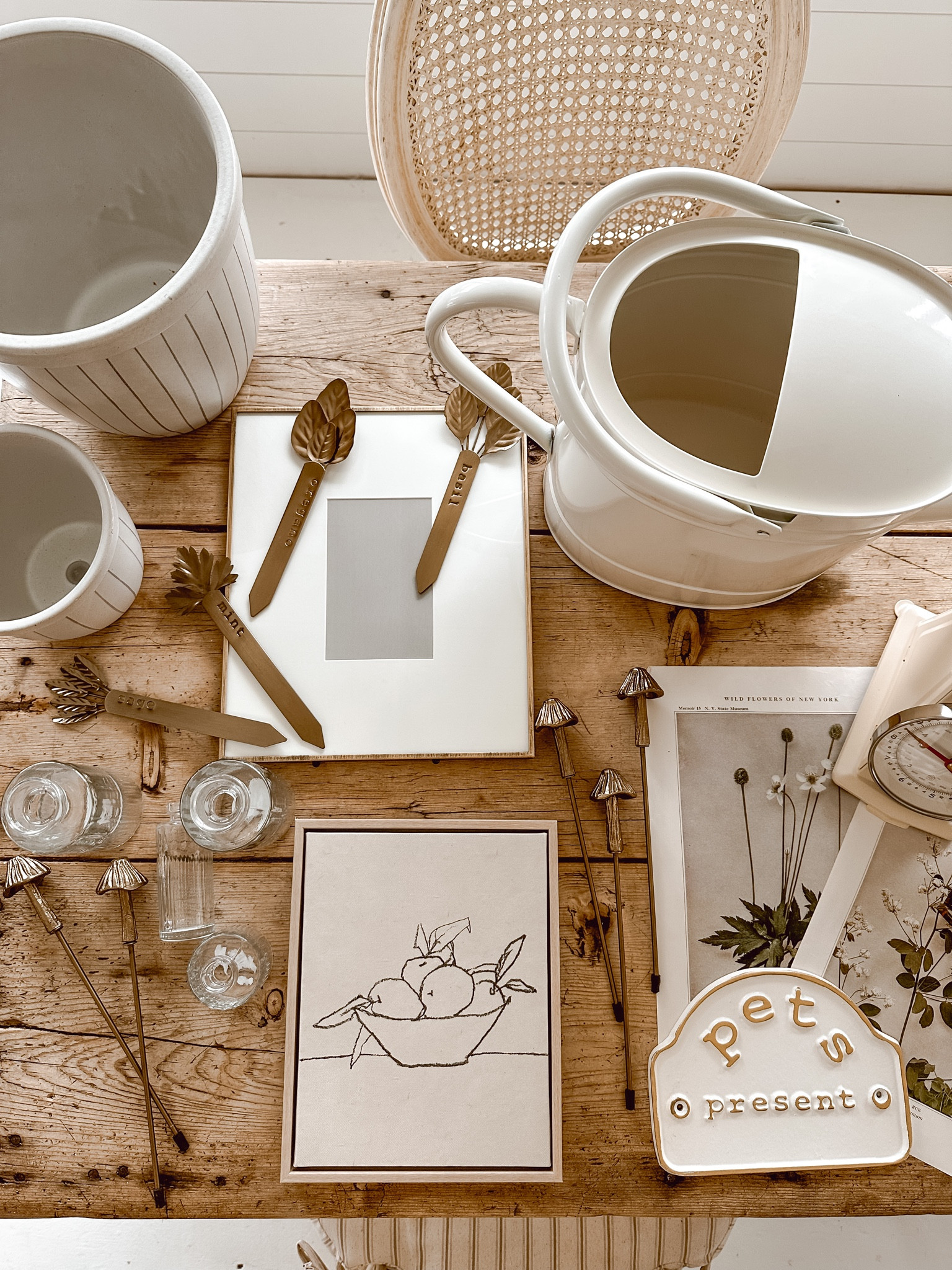 Cozy fresh target haul 🫶🏼🤍🪴

#LTKFind #LTKhome