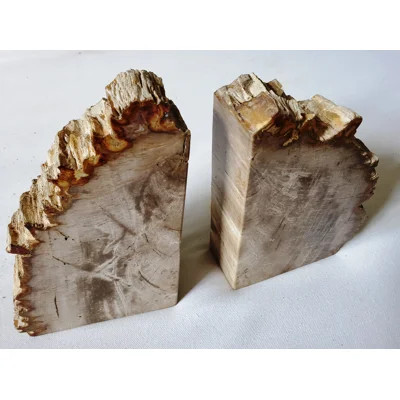 Large Petrified Wood Bookends Millwood Pines | Wayfair North America