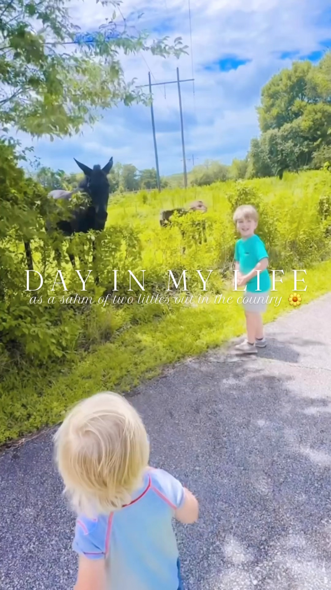 Just so grateful for this sweet little country childhood we get to gift our babies!!! 👶🏼🦋🐓🧺🌾🌼🪴🐴🫏💐🪿🌳 #dayi̇nmylife #sahmonafarm #sahm #mamaoftwo #lifeinthecountry 

Nothing beats these morning sunrise 🌅 running views and it sure has felt good to get back on my early morning workout routine!! 🏃‍♀️🙌🏽 Two babies 👶🏼 and two postpartums 🤱 under my belt 🫶🏽 - and excited to be back doing what I love!!! 💗 

And good morning to our goosie friends 🪿🪿🪿 - this place truly is such a dream 💭 and gift from above 💫 - thank you, Lord!! 🌼 Judson lovessss when baby brother 👶🏼 sleeps 💤 in so he gets “special time with mommy” 🥰 - we got to see the sweetest mama and baby deer 🦌, fill feed 🥣 and water 💦 for our chickies 🐓, and spend all morning by the garden 🪴 admiring butterflies 🦋 and picking tomatos!! 🍅 

And today has been a post office 🏤📬📦 run and a trip to our favorite 🤩 little playground 🛝 right near us kind of summer day 🌞- with all the wide open spaces 🌳🌾 , a picnic 🧺 lunch 🥪 , and saying hi to sweet  horsie friends 🐴🫏 (cutest thing ever 🥰🤭), too!! 🌼 And then back to VBS 💒✝️ tonight 🙌🏽 - ohhh these are the days!!! 🫶🏽