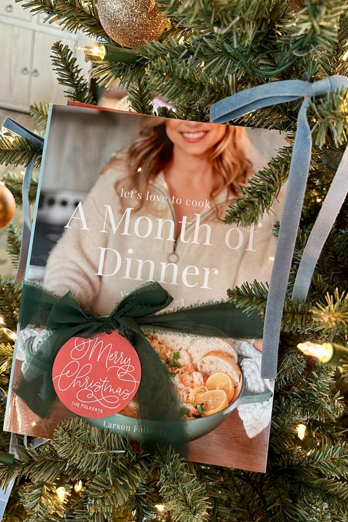 It’s back on Amazon and just in time for Christmas!! A Month of Dinner is a great gift for just about anyone on your list, especially any mom who needs help with dinner! Your sister, your bestie, your coworker, a teacher… yourself! 

100 recipes, 3 months of weekly grocery lists and meal pland and so much more! Easy, healthy, delicious recipes with ingredients you can get at any store. Toddler and hungry-husband tested and approved! Recipes got REAL life!

#LTKHome #LTKGiftGuide #LTKFamily