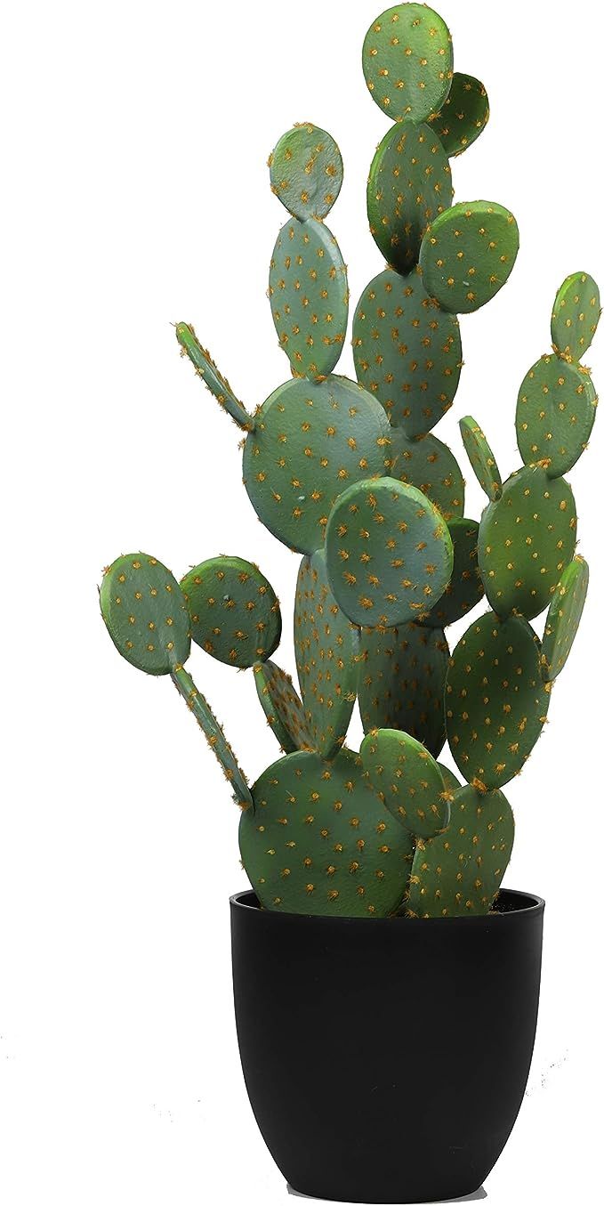 NCYP Total Height 34.2inches Large Artificial Cactus Potted, Faux Fake Desert Cacti Plant with Bl... | Amazon (US)