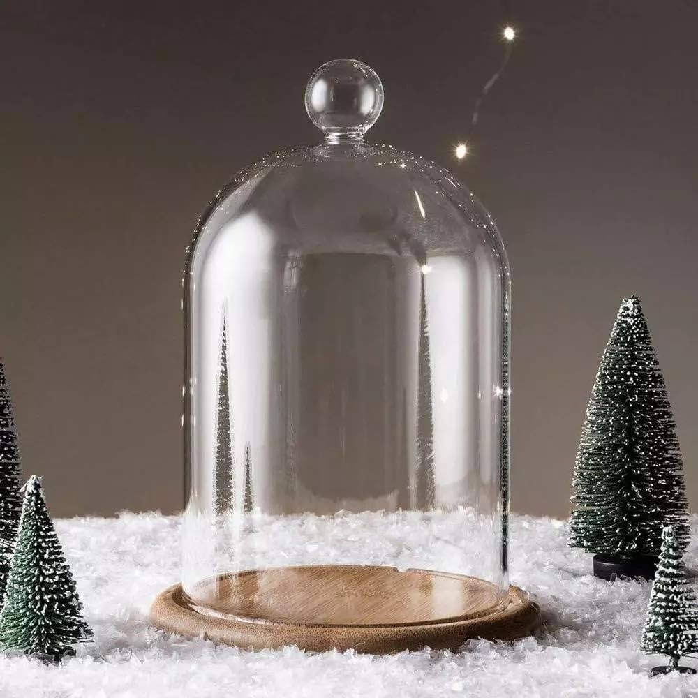 Home Decor Vases Glass Flower Display Cloche Bell Jar Dome Immortal Preservation + Wooden Base Ev... | Amazon (US)