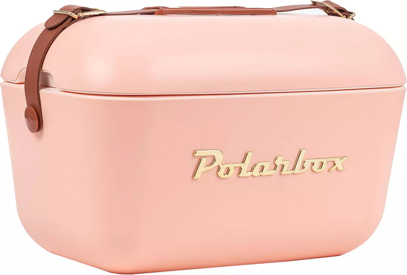 Polarbox Pop 21 Quart Cooler | DICK'S Sporting Goods