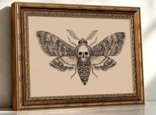 Vintage Gold Frame Skull Moth Wall Art, Gothic Canvas Painting Print for Dark Academia Decor, Moody Insect Picture for Living Room Bedroom Aesthetic, Nature Oddity Witchy Home Office Artwork 16x24In | Amazon (US)