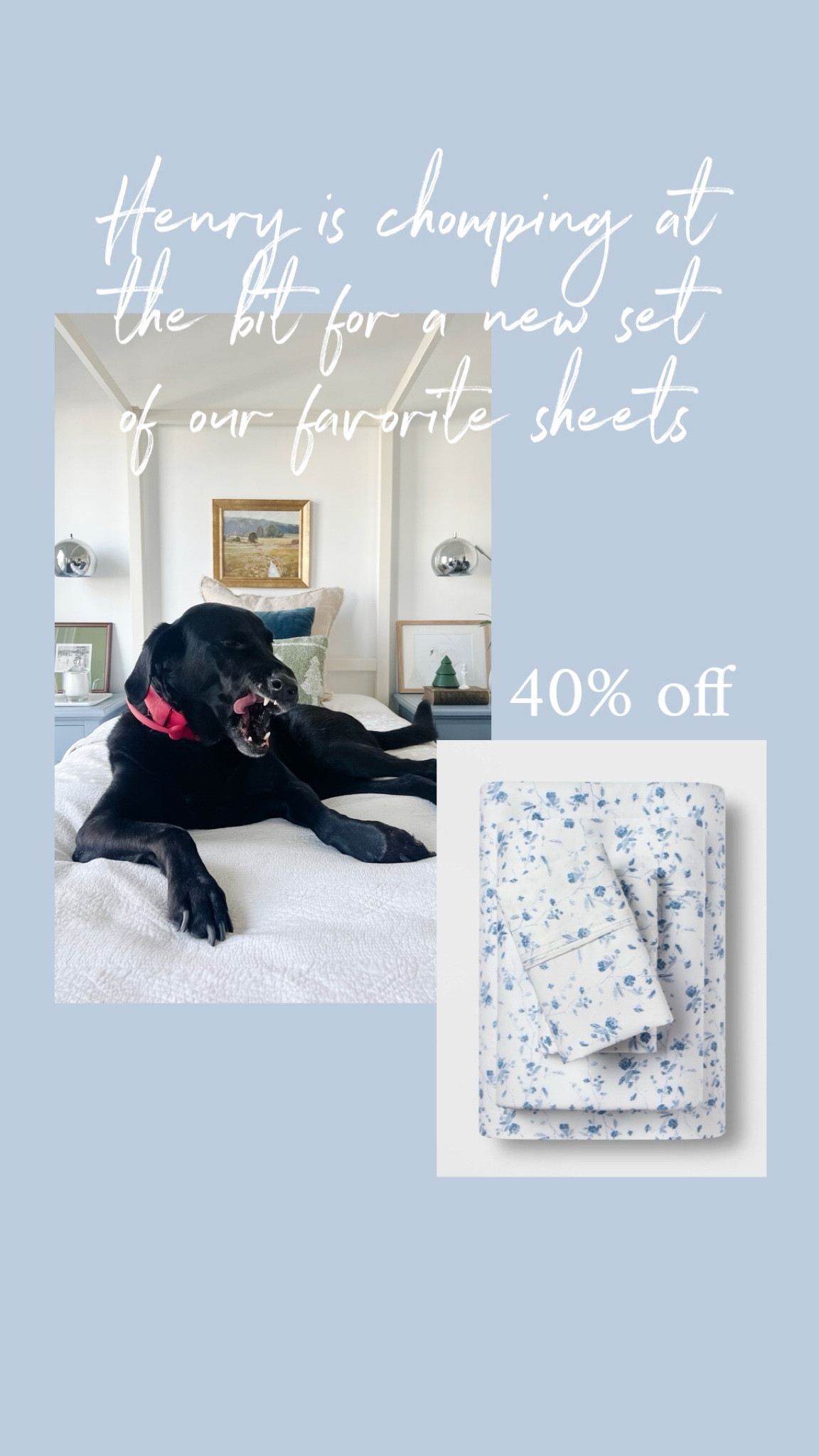 Our favorite sheet sets are on sale and we are grabbing this flora set for the guest bedroom. They’re soft and comfortable and wash so well. If you like to snuggle as much as we do, you’ll love these! 

#LTKGiftGuide #LTKHome