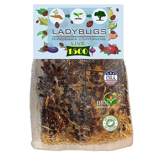 Clark&Co Organic 1500 Live Ladybugs - Good Bugs for Garden - Pre-Fed Hippodamia Convergens for In... | Amazon (US)