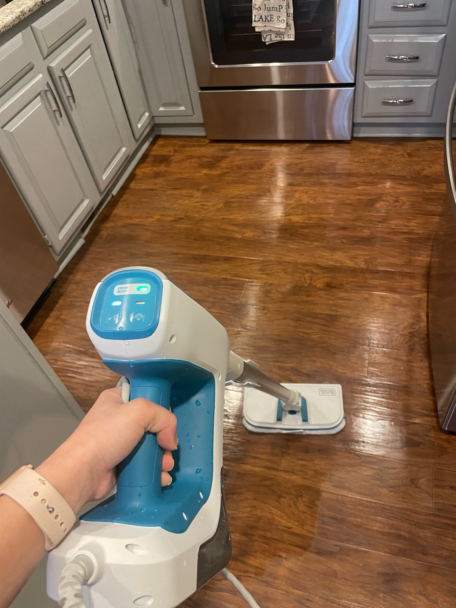 I’ve slowly been replace toxic items in my home for nontoxic items. This steam cleaner is one of my favorite purchases! I’m able to clean my floors with zero toxic cleaners. And with 3 dogs, one that drools a lot for his treats, this thing easily cleans up that nasty dog drool!! 

#LTKhome #LTKfamily #LTKMostLoved