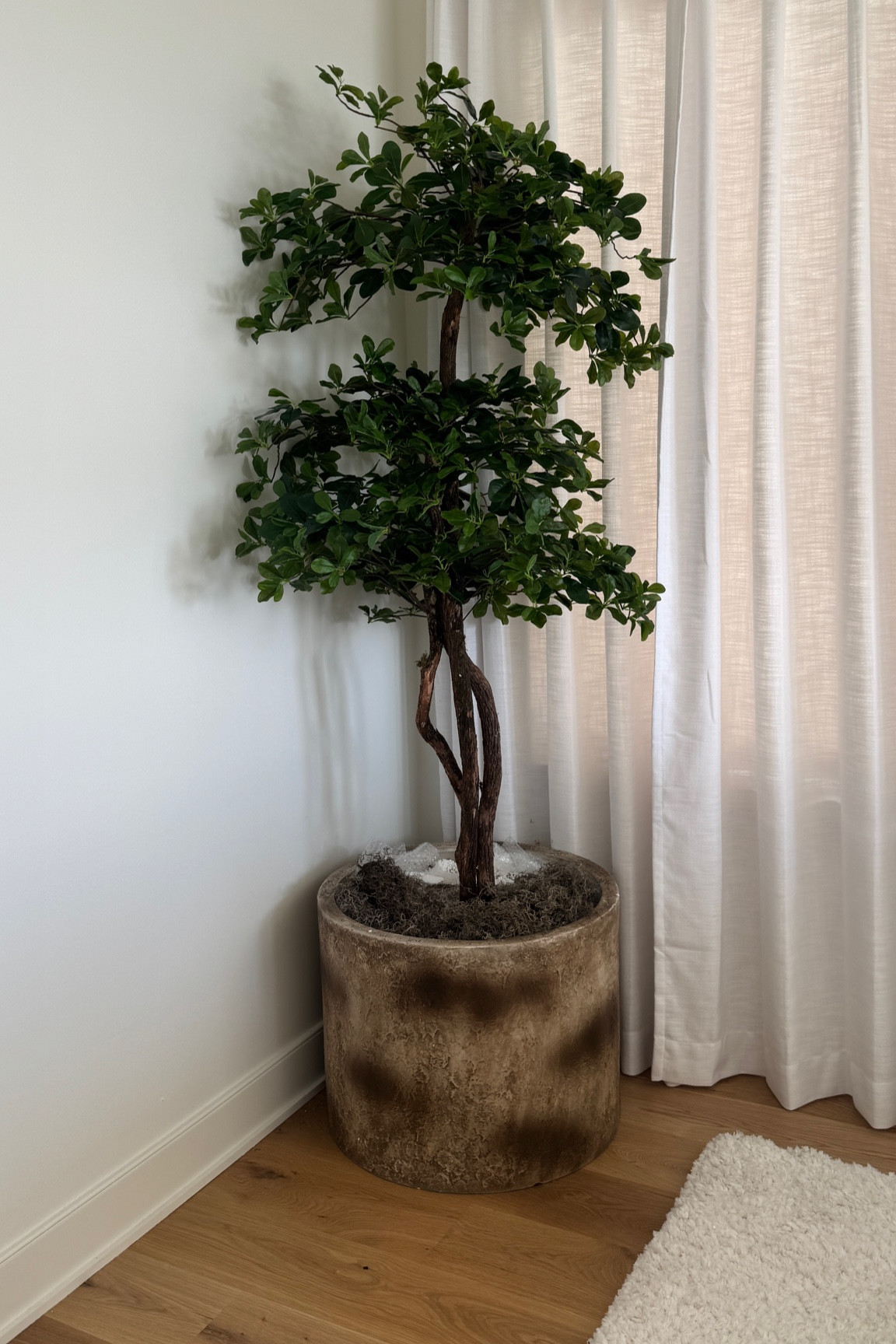 Ran out of moss HAHA I need 4 packs and only had 1! 

#LTKHome #LTKStyleTip #LTKMens