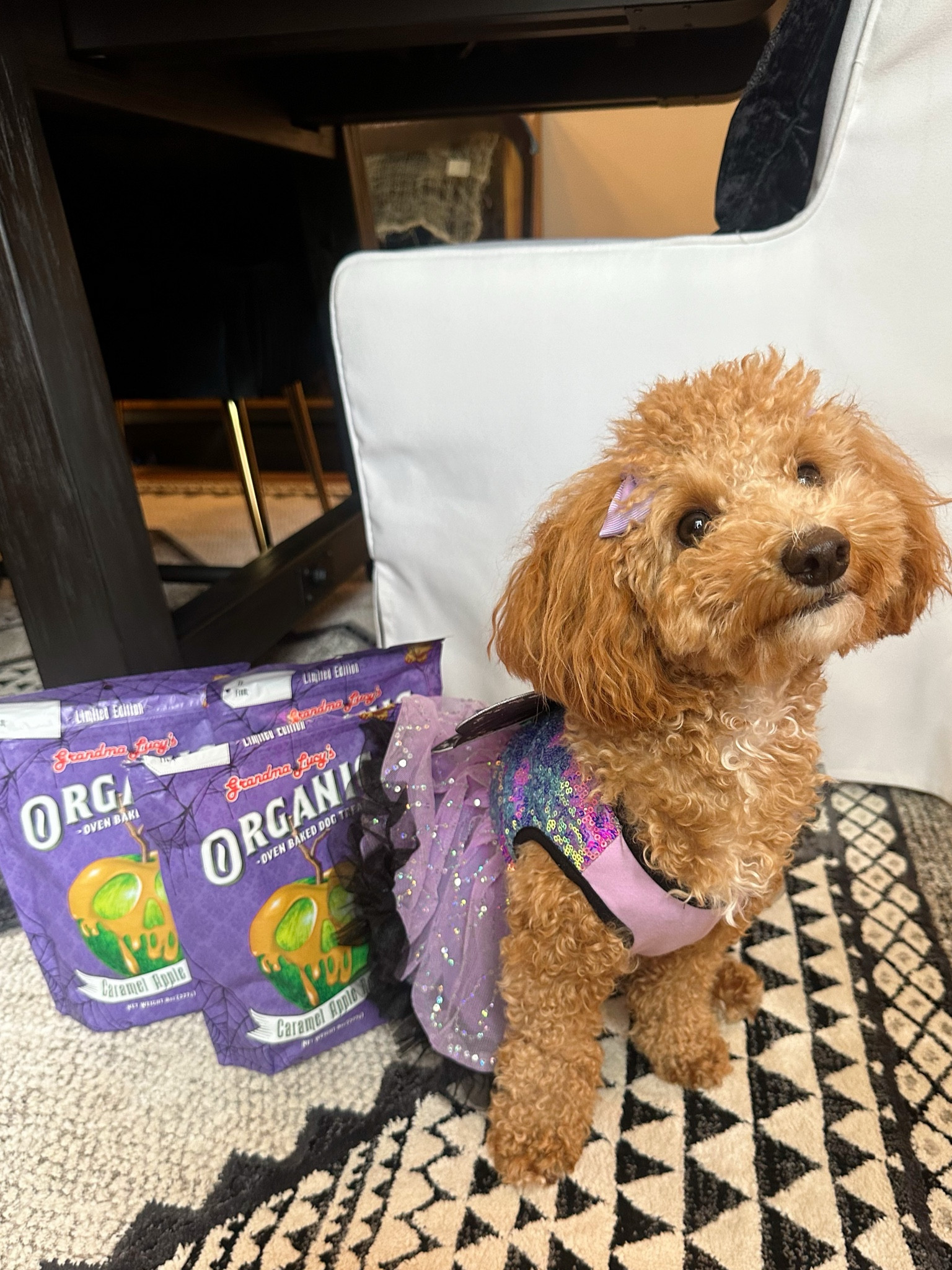 #dog #pet #puppy #halloween #dogtreats #grandmalucys

#LTKHalloween #LTKSeasonal #LTKHoliday