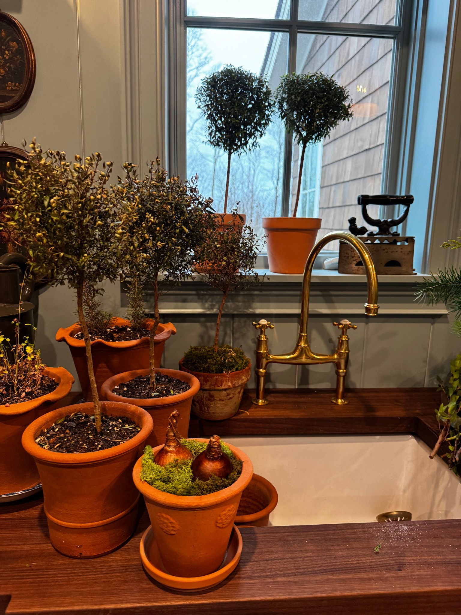 some of my favorite potting planters 

#LTKHome #LTKOver40 #LTKGiftGuide