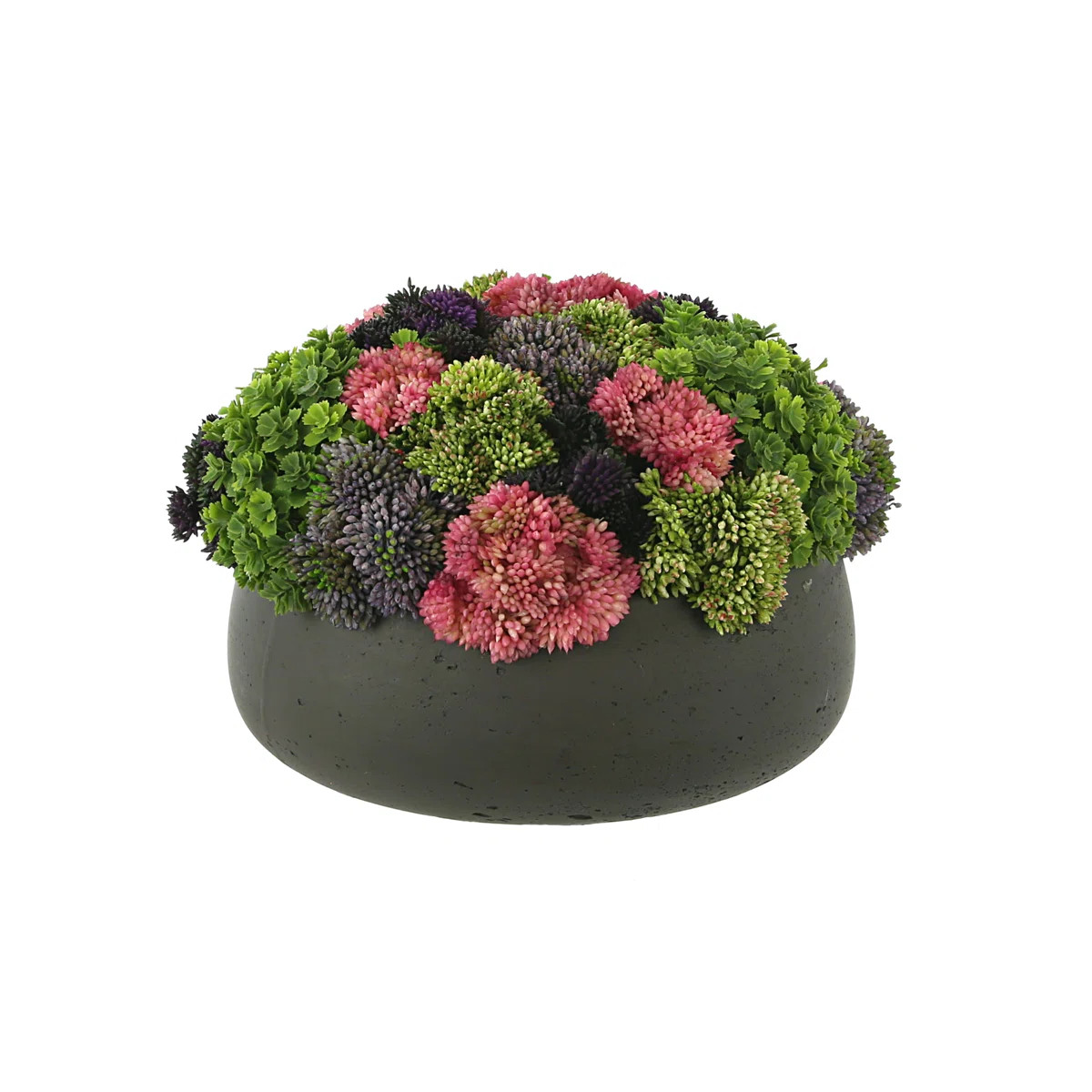 Creative Displays, Inc. Sedum Arrangement in Fiberstone Planter | Perigold | Perigold