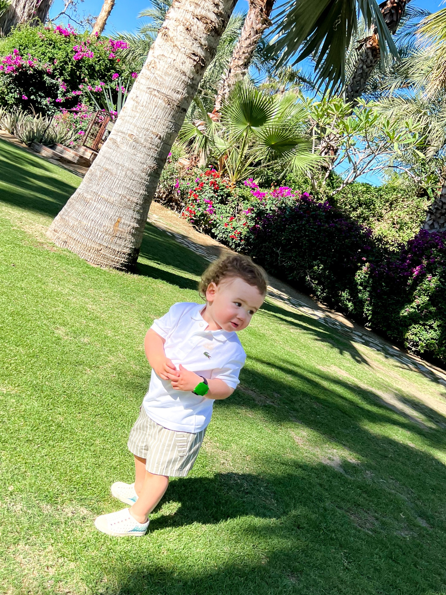my little JTB loving Floras breakfast -

Shirt - 2T
Shorts - 18-24 mo
Shoes - 5 

#babyboy #toddleroutfit #toddlervacation #vacation #cabo #beachvacation #family #outfit

#LTKkids #LTKbaby #LTKtravel