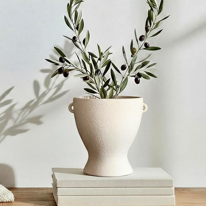 Ceramic Vase with Handles - Modern Terracotta Rustic Pottery for Home Decor, Living Room, House D... | Amazon (US)