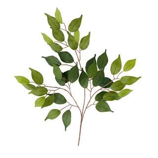 Ficus Spray Floral Essentials by Ashland® | Michaels Stores