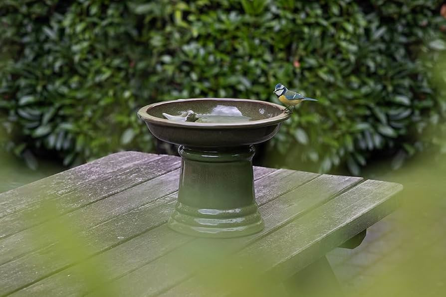 SMALL CERAMIC BIRDBATH ON PEDESTAL GREEN | Amazon (UK)