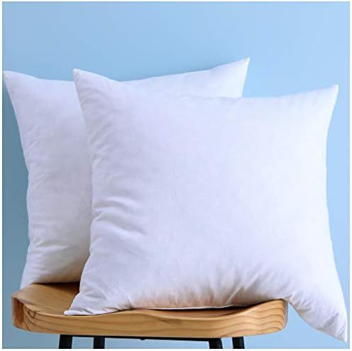 Set of 2, Cotton Fabric Pillow Inserts, Down and Feather Throw Pillow Insert, 26X26 Inches | Amazon (US)
