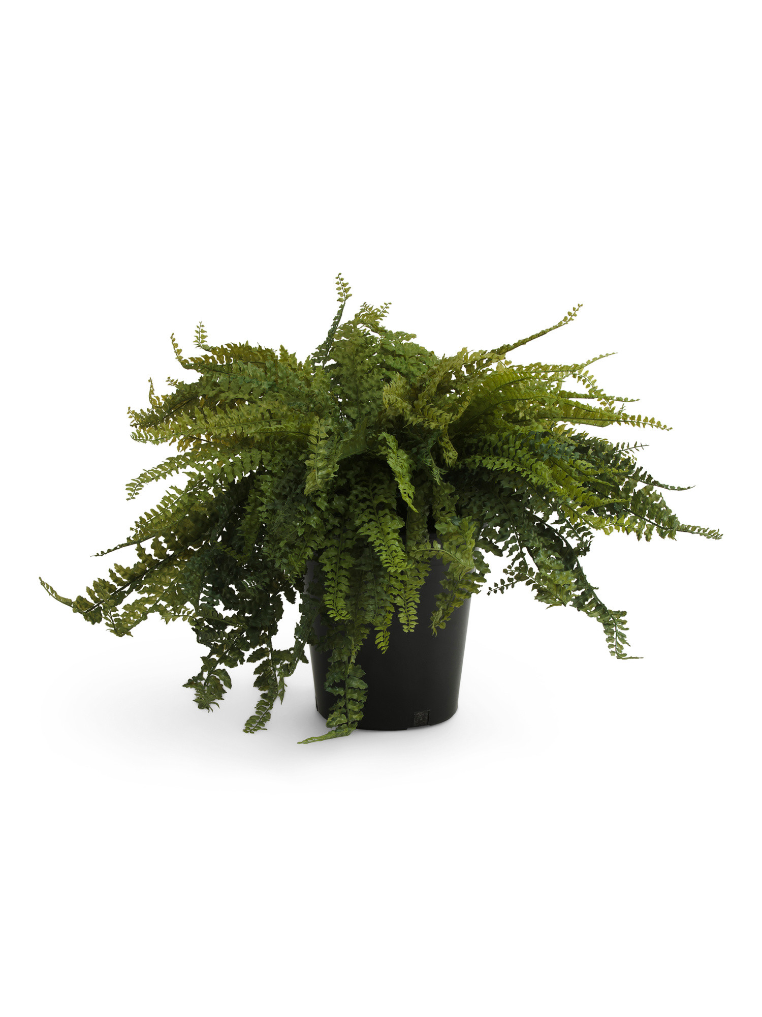 Outdoor Safe Real Touch Faux Fern In Pot | TJ Maxx