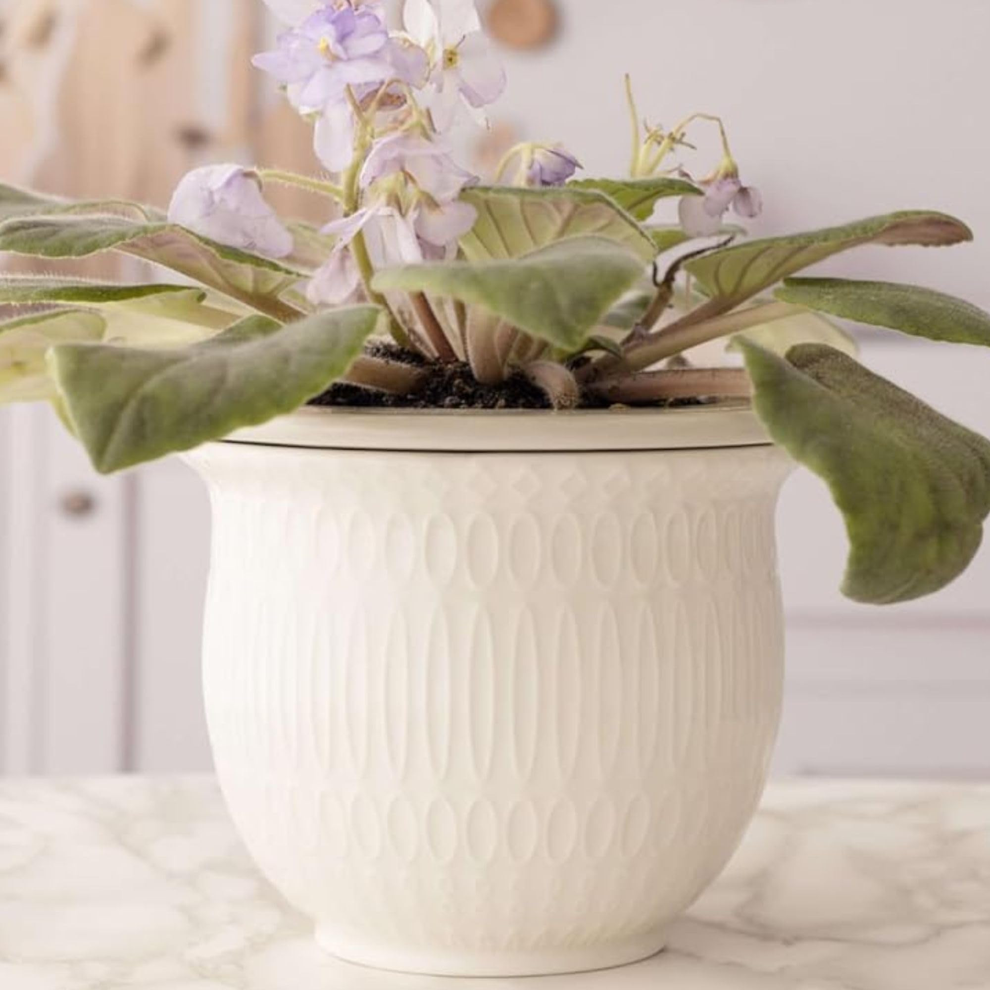 African Violet Pots Self Watering - 7in White Ceramic & Dolomite Clay - Easy & Effortless Planter... | Amazon (US)