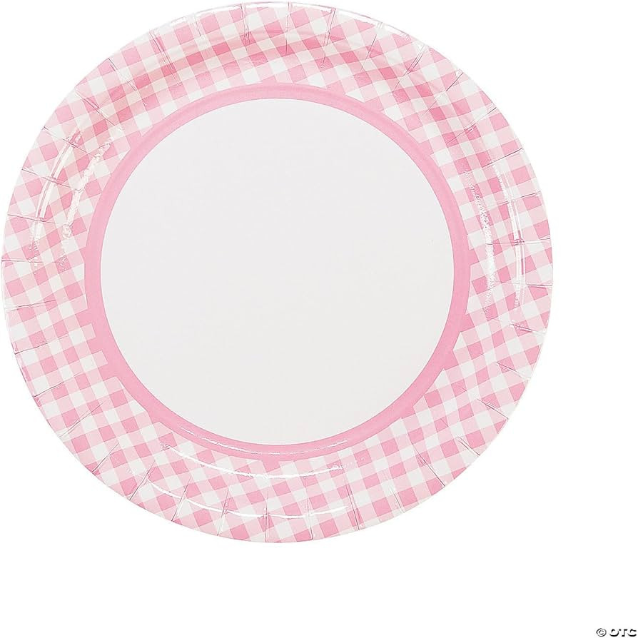 Fun Express Pink Gingham Dinner Plates (24 pc) Party Supplies | Amazon (US)