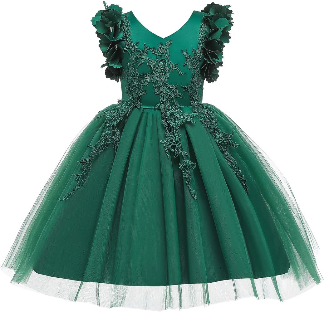 Weileenice Flower Girl Lace Dress Pageant Kids Wedding Christmas Holiday Party Dresses | Amazon (US)