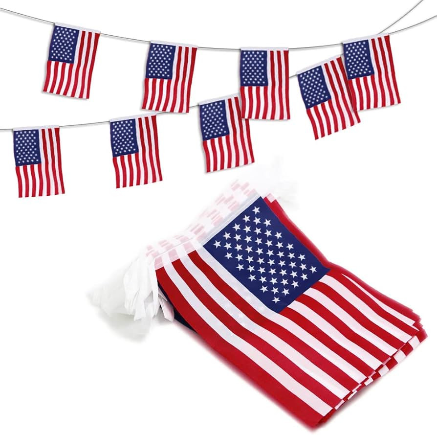 Anley US National American String Pennant Flags, Patriotic Events 4th of July Independence Day De... | Amazon (US)