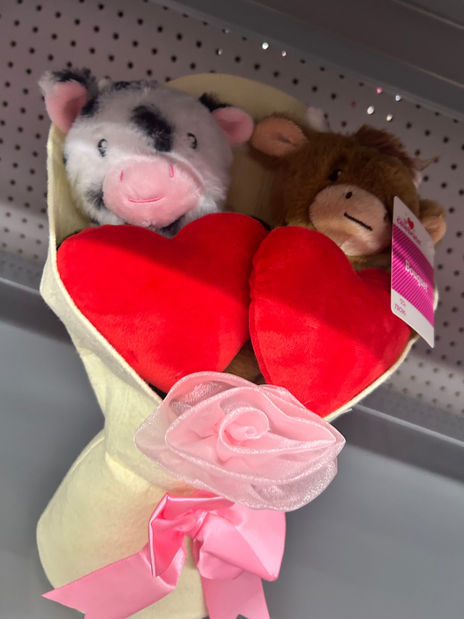 If you’re stuck on what to get for Valentine’s Day, THIS is your sign 💗
Soft, sweet, and already wrapped in love 🥰

Perfect for kids, teens, coworkers, or anyone who loves a cute surprise.


#LTKHoliday #LTKGiftGuide