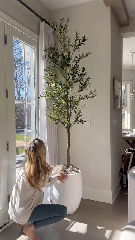 You guys are NOT going to believe the price of this gorgeous olive tree from @HomeDepot!! Snagged it and this pretty planter during their Spring Black Friday sale!! 🤗🌿

#LTKfindsunder100 #LTKsalealert #LTKhome