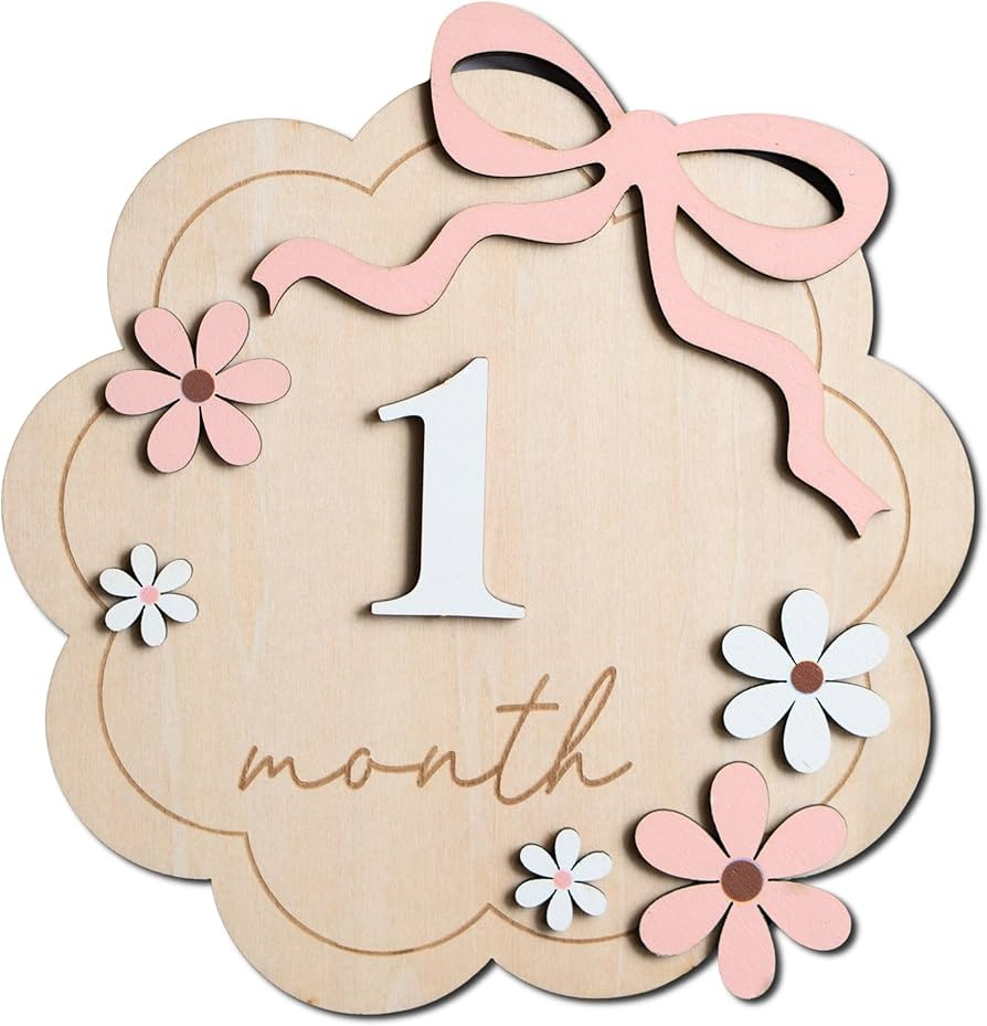 Baby Monthly Milestone Sign,1-12 Monthly Baby Milestone, Month Milestone Baby Girl, Baby Months M... | Amazon (US)