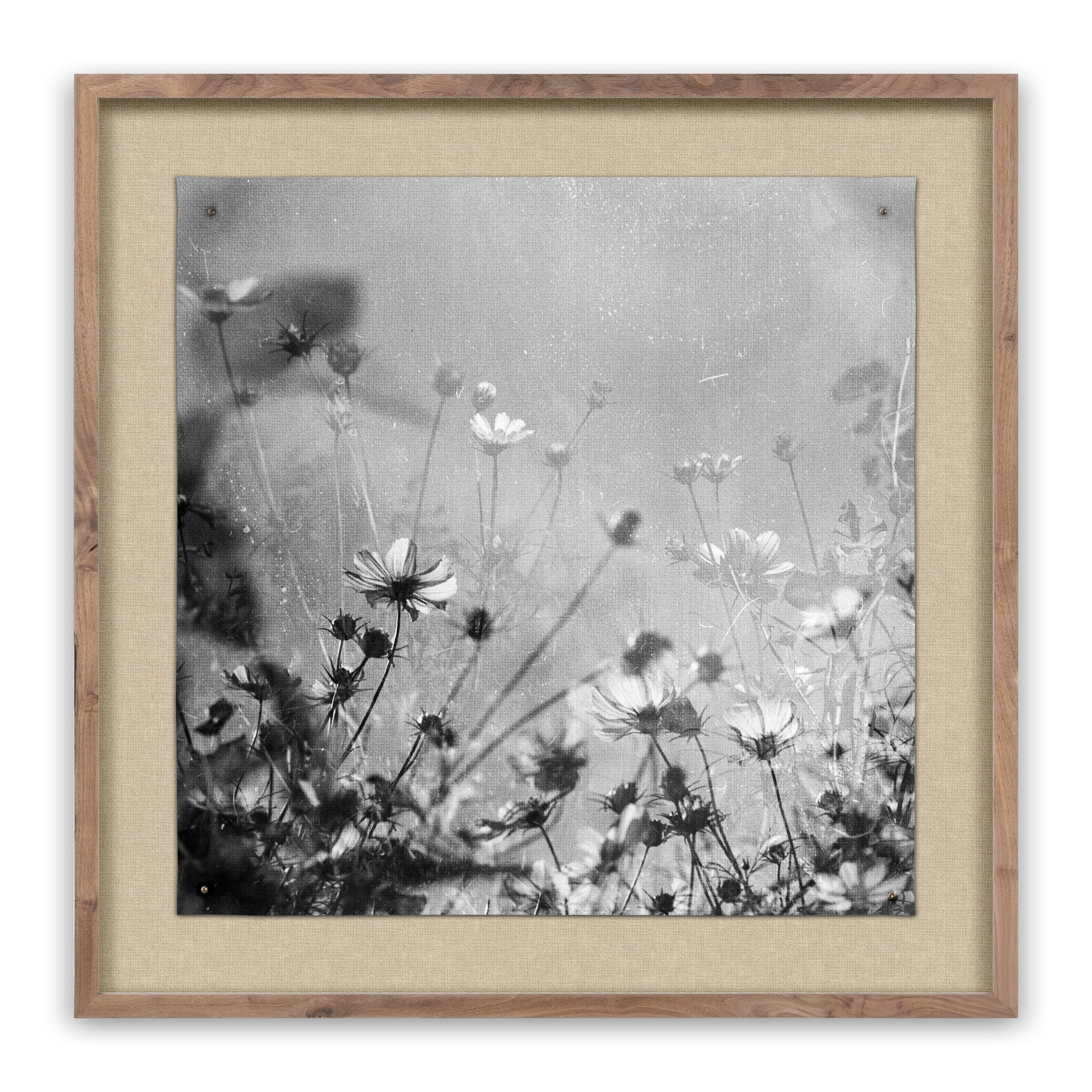 Too Much Sun by Annie Spratt | Magnolia