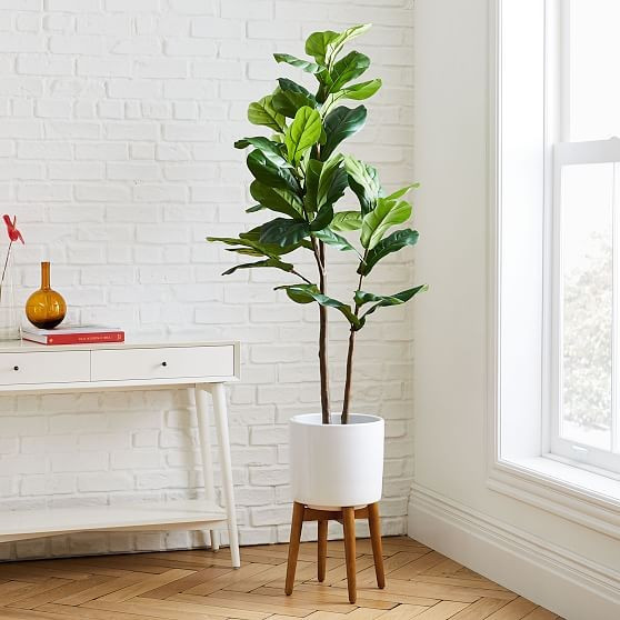 Faux Fiddle Leaf Fig Botanical + Turned Wood White Planter, Tall | West Elm (US)