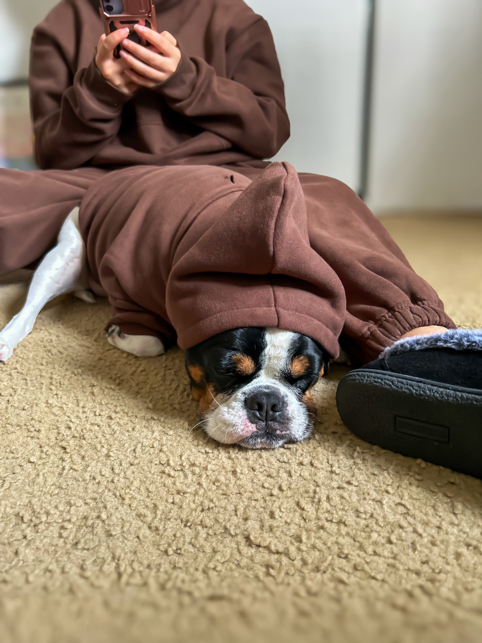 ✨ Get 15% off your order using code JEANA15 ✨ 

Nothing better than matching with your best friend 🤎🐾

Me and Rio in our cozy, soft, and seriously comfortable matching hoodies from Comfrt 💗 The kind you want to live in all day!

For sizing reference:
🐶 Rio is wearing a size Large
🤍 I’m wearing a small hoodie (discontinued standard) and large sweatpants (kid size)

Perfect for lounging, errands, and all the cozy moments in between. I linked the exact set and similar options so you can twin too ✨


#LTKTravel #LTKFindsUnder100 #LTKootd