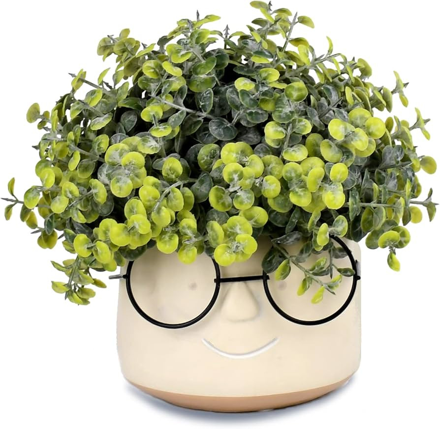 PETIARKIT Artificial Potted Plants, DIY Small Fake Plants, Plastic Eucalyptus Greenery in Pots Fa... | Amazon (US)