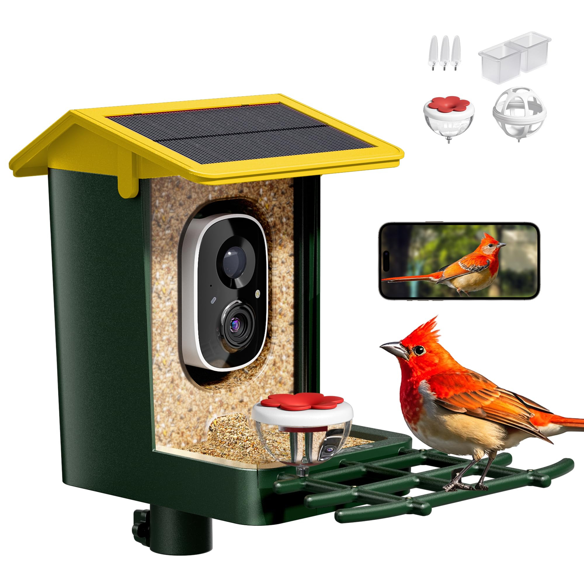 Bird Feeder with Camera Solar Powered 2K HD Video, 10,000+ Species AI Recognition, Real-Time App ... | Amazon (US)