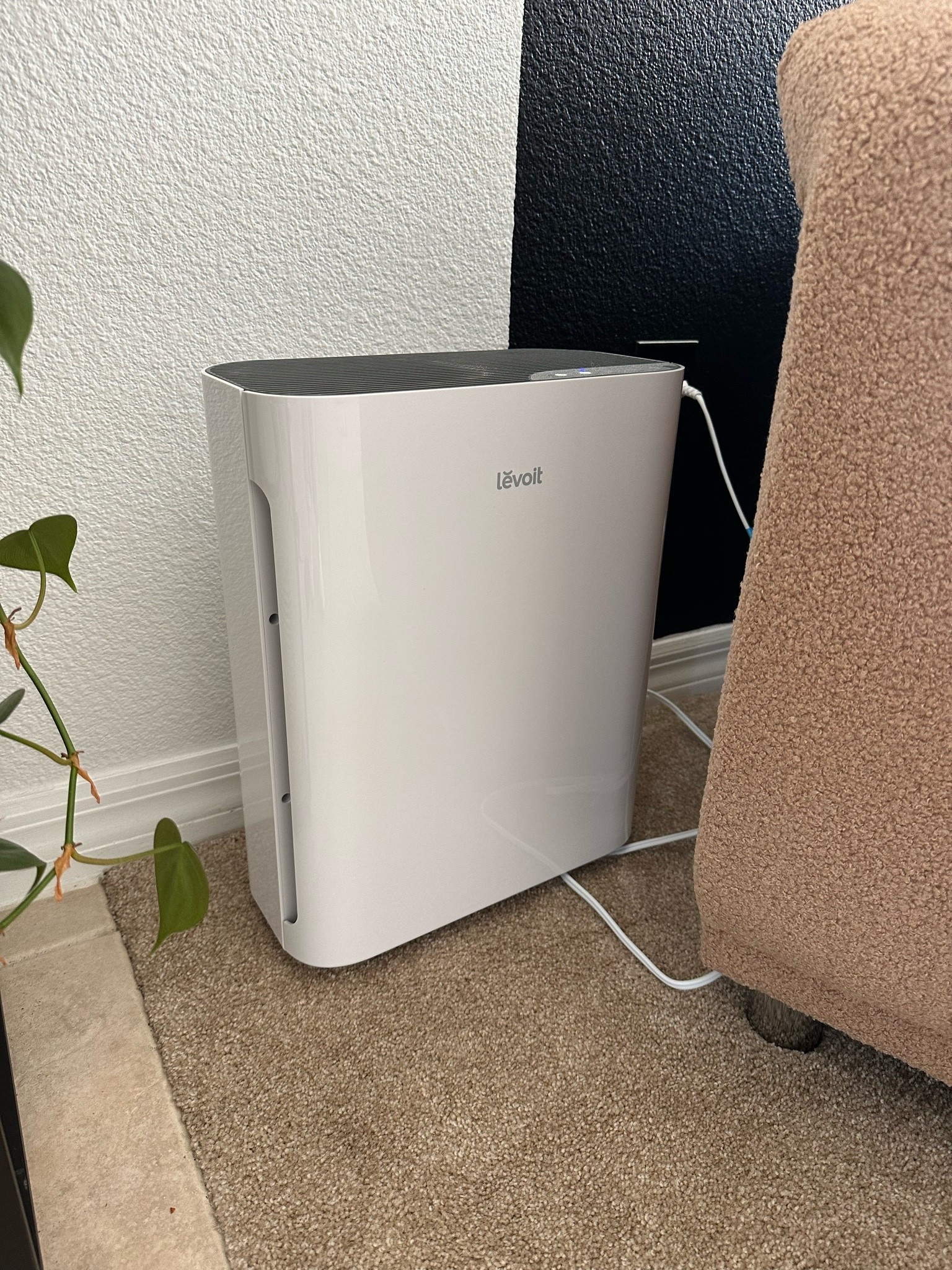 Our air purifier / seasonal allergies / pet essentials 

#LTKSeasonal #LTKFindsUnder100
