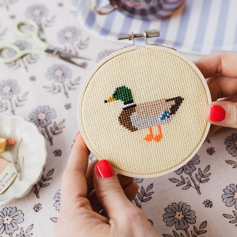 Duck Cross Stitch Kit - Etsy Canada | Etsy (US)