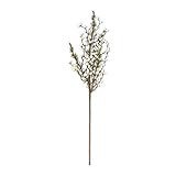 K&K Interiors 53982D 31 Inch Cedar Stem with White Berries, Green | Amazon (US)
